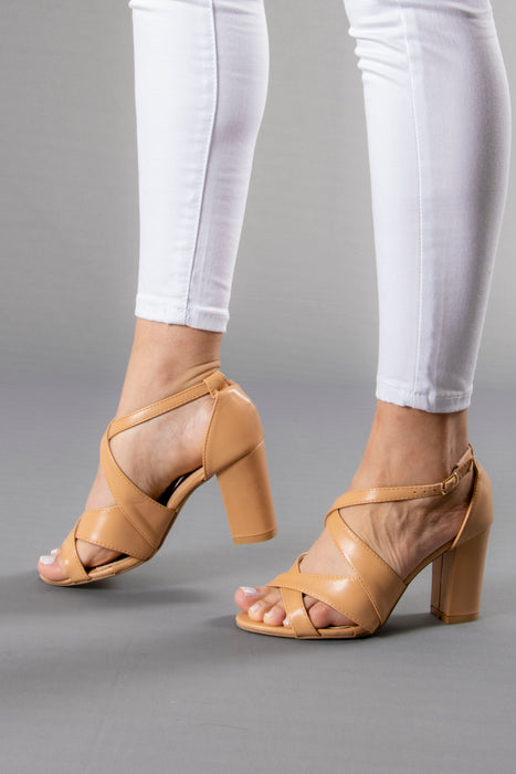 427058L TACONES